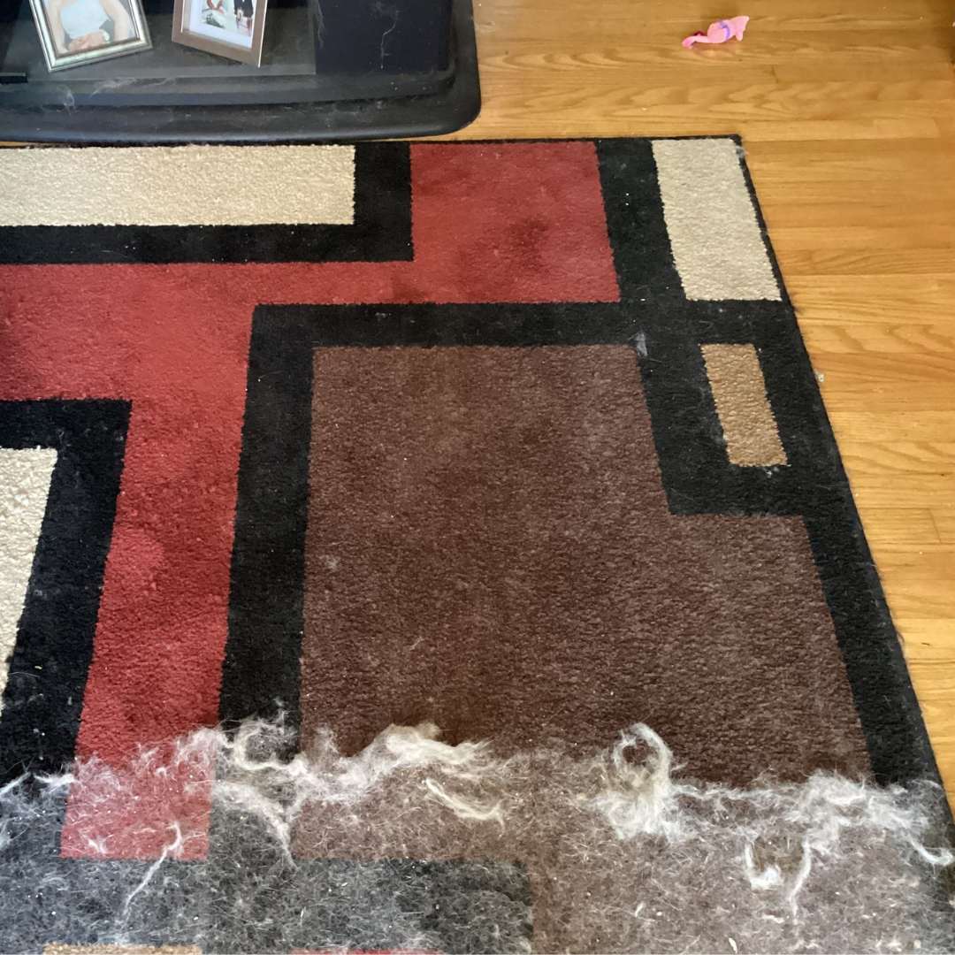 Cepillo Eliminador de Pelo de Mascotas