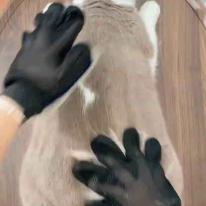 Guante mágico para mascotas