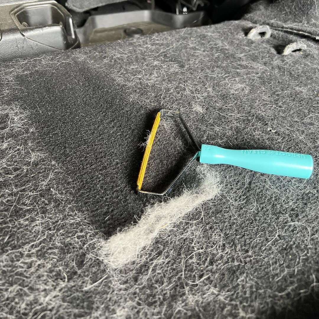 Cepillo Eliminador de Pelo de Mascotas
